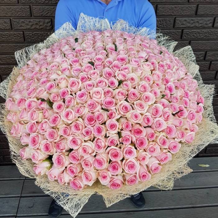 301 розовых роз в букете R922