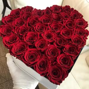 Сердце 31 красная крупная роза R93