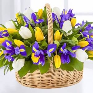 Разноцветные тюльпаны и ирисы в корзине R289